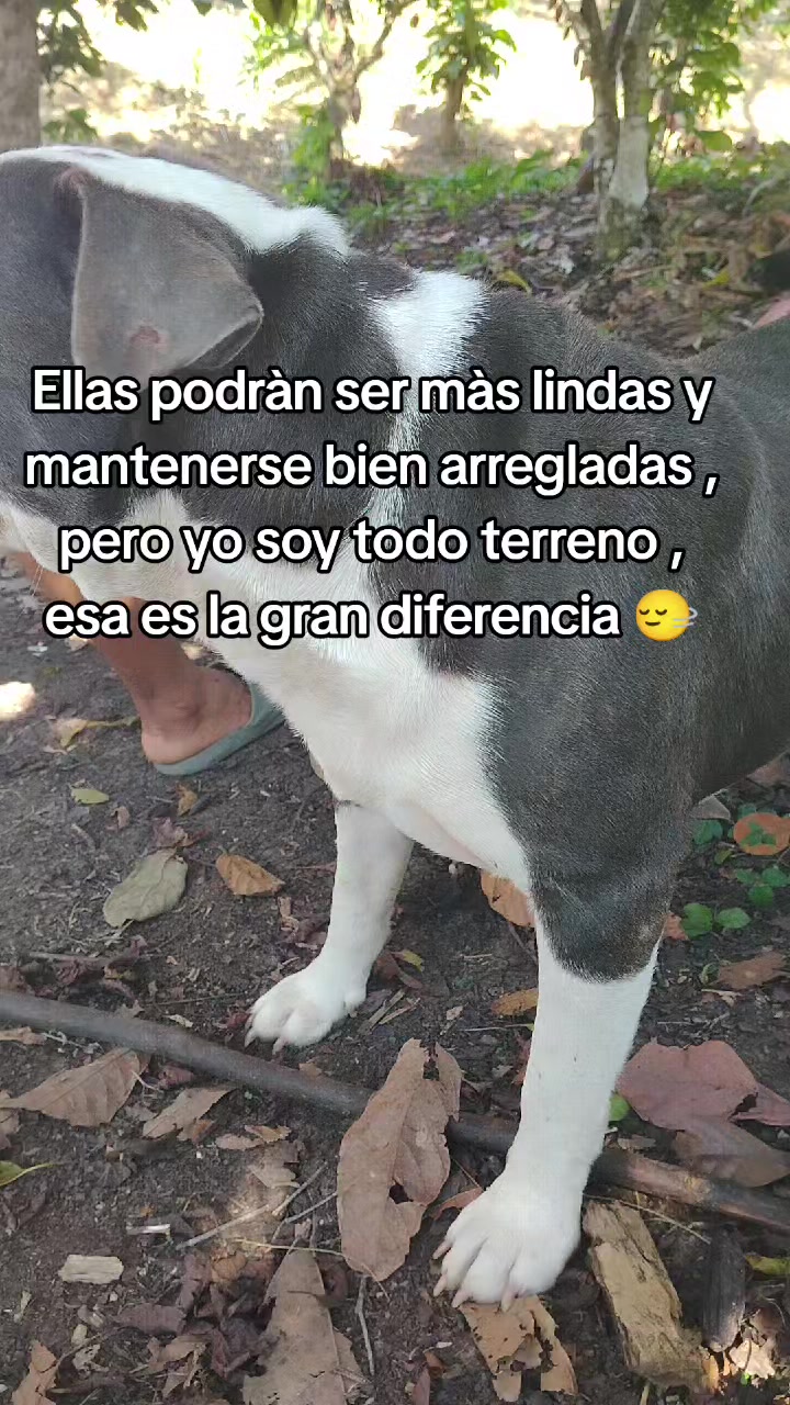 @Rosali Rodriguez