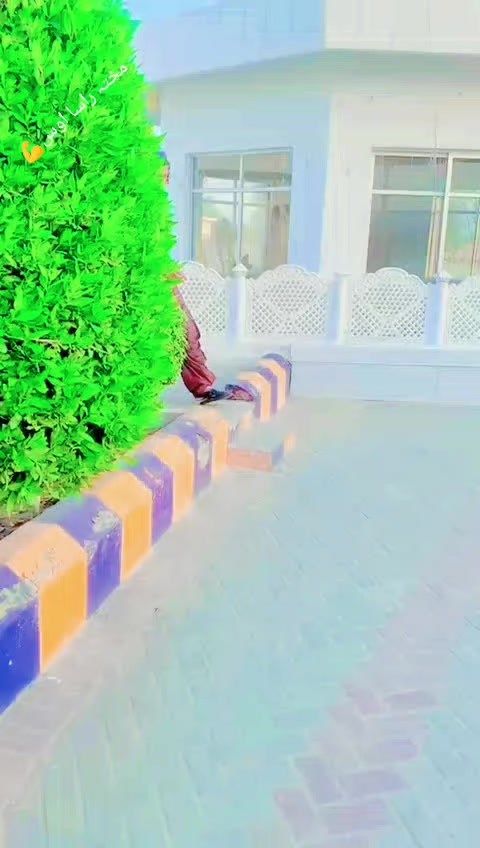 @🦂شیر جان کلاخیل 804🦂