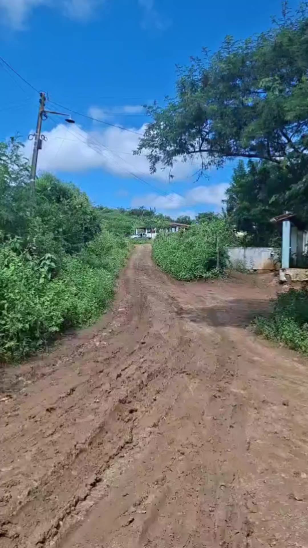 @babau motos