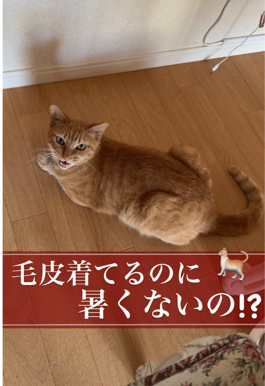 @さっことおちょ