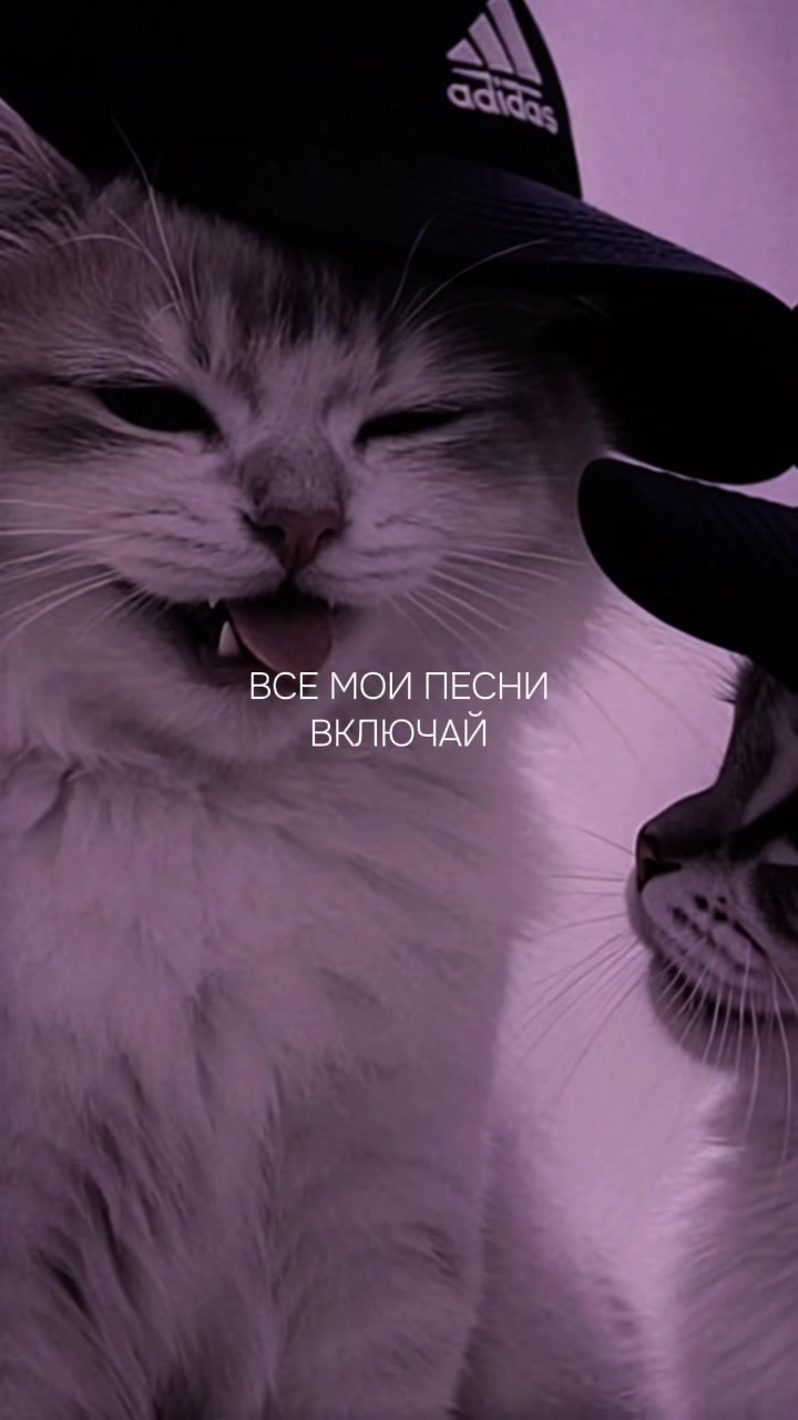 @MusicTemplates