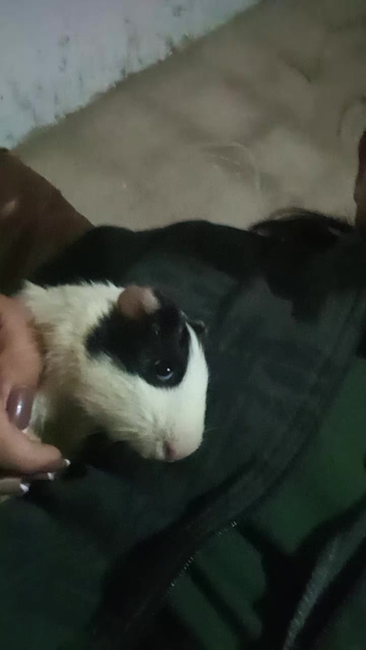 @Ant&ocirc;nia Lucimara✨