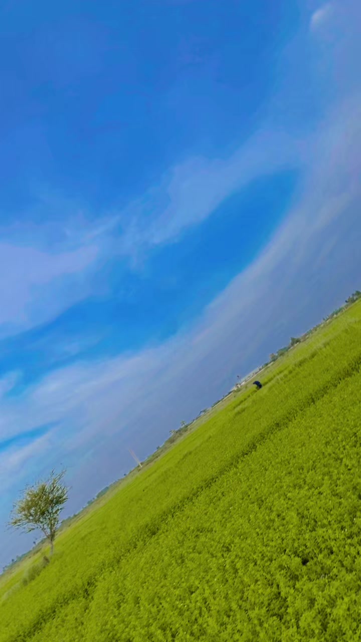 @Abbasi_girl302