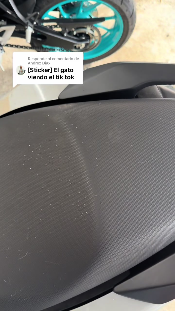 @Estefanía Higuita