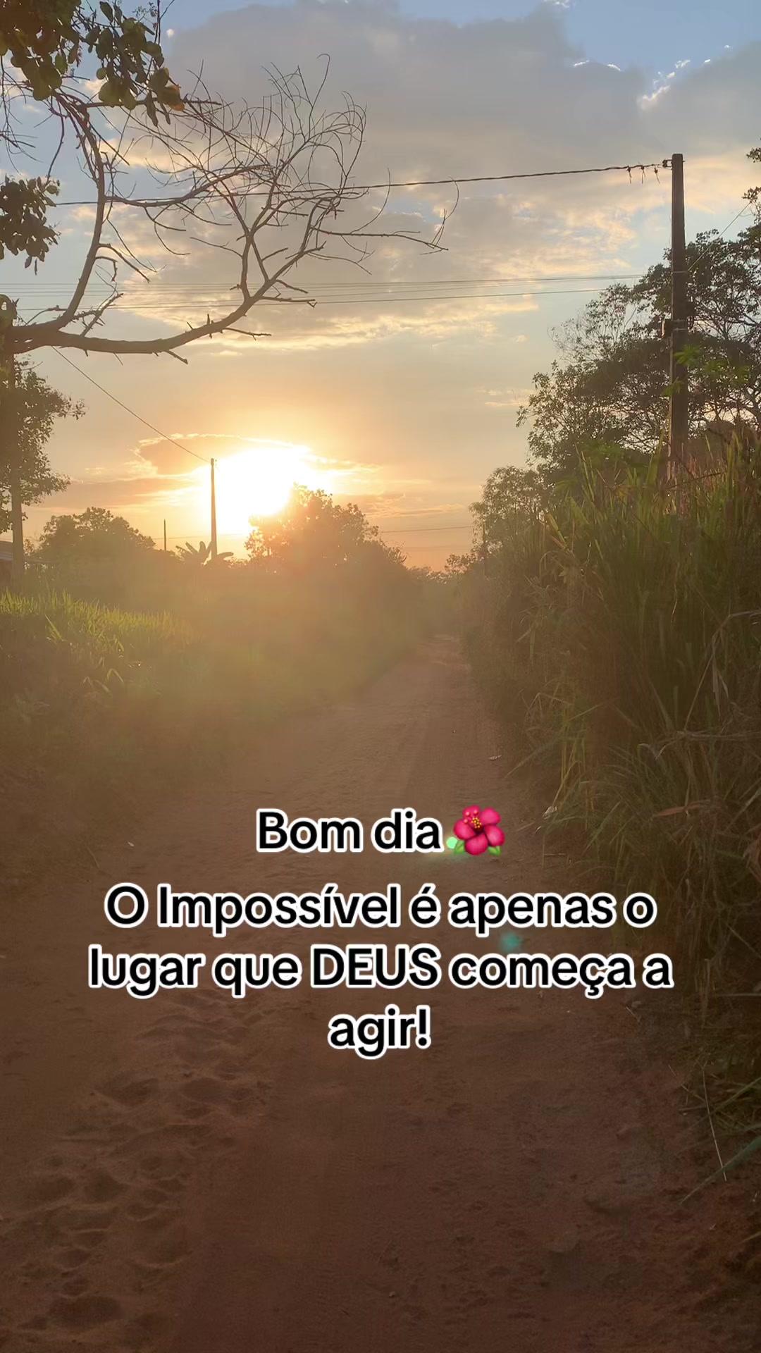 @Entre Laços