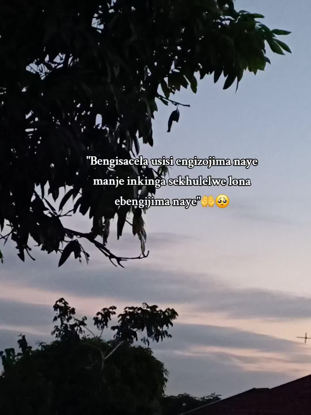 @Mfanelo