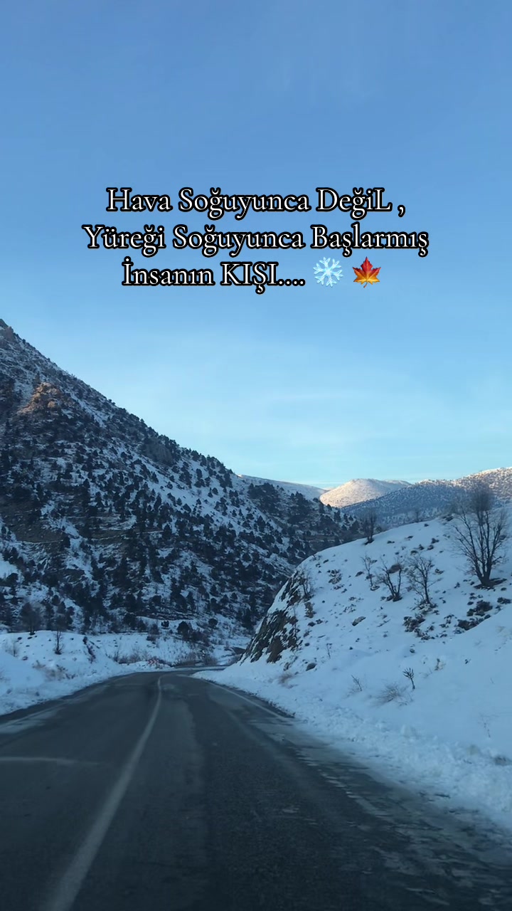 @Ilyas Palmanak