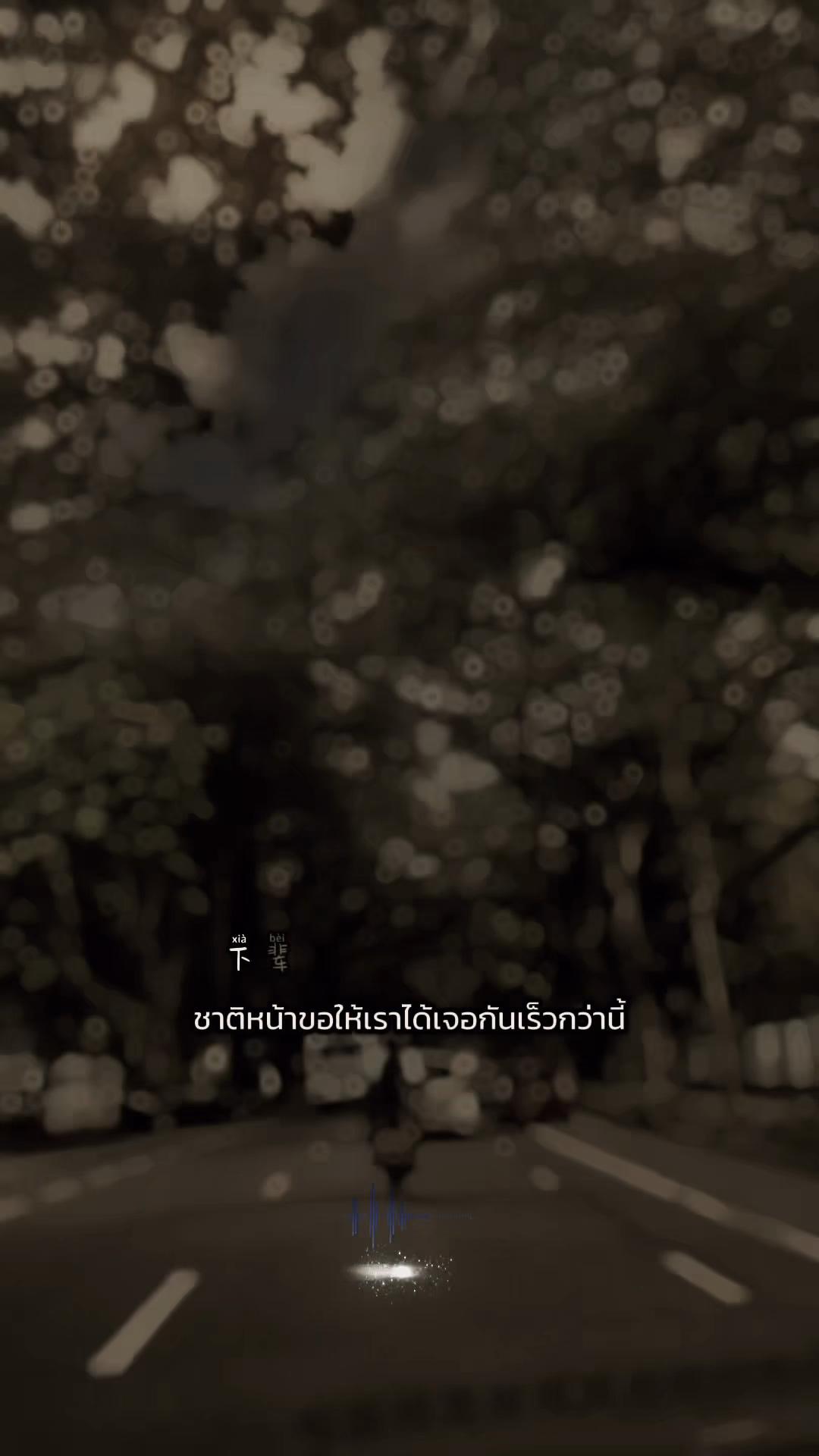 @Namfon.SK5664