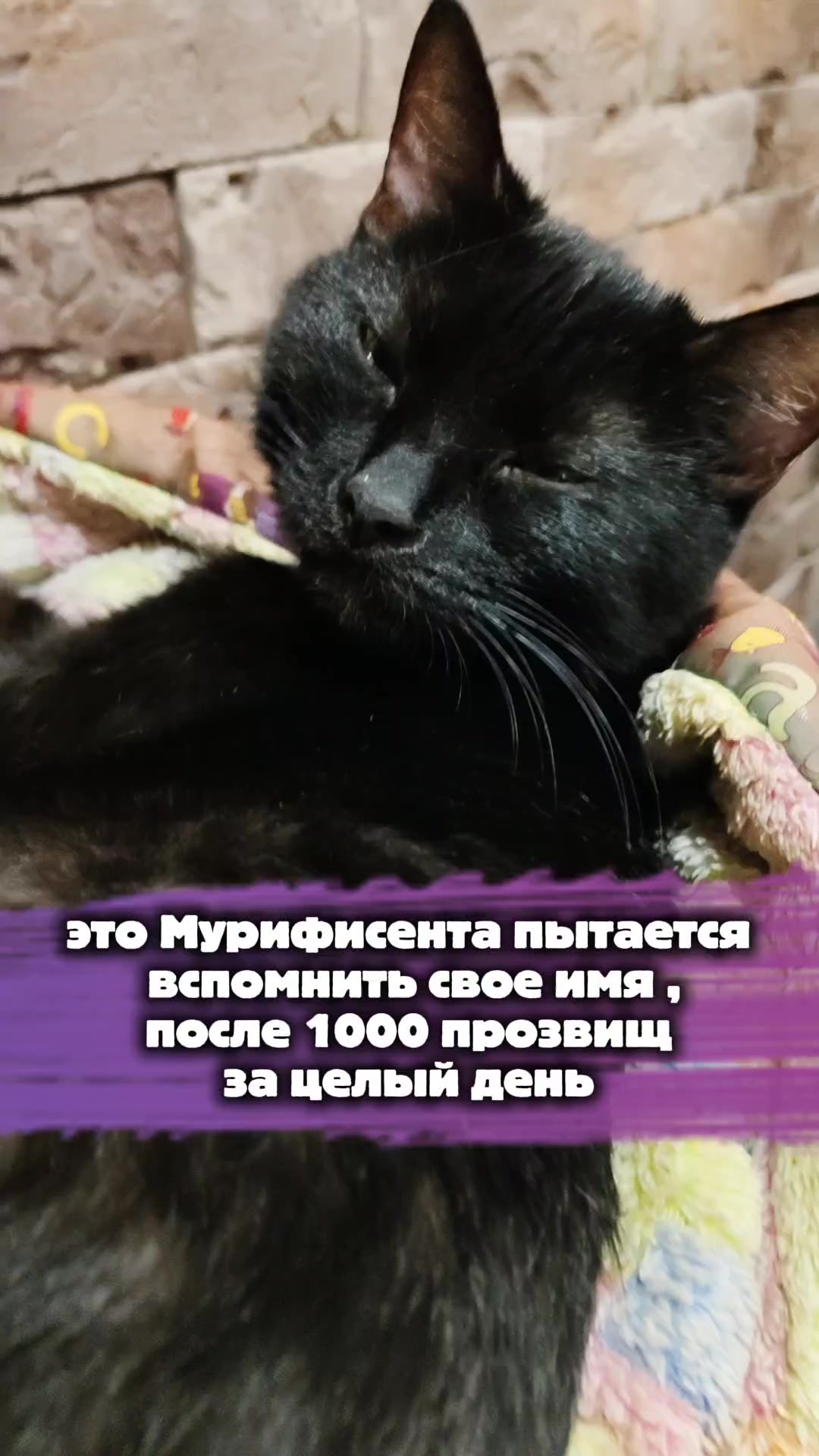@antipodistka
