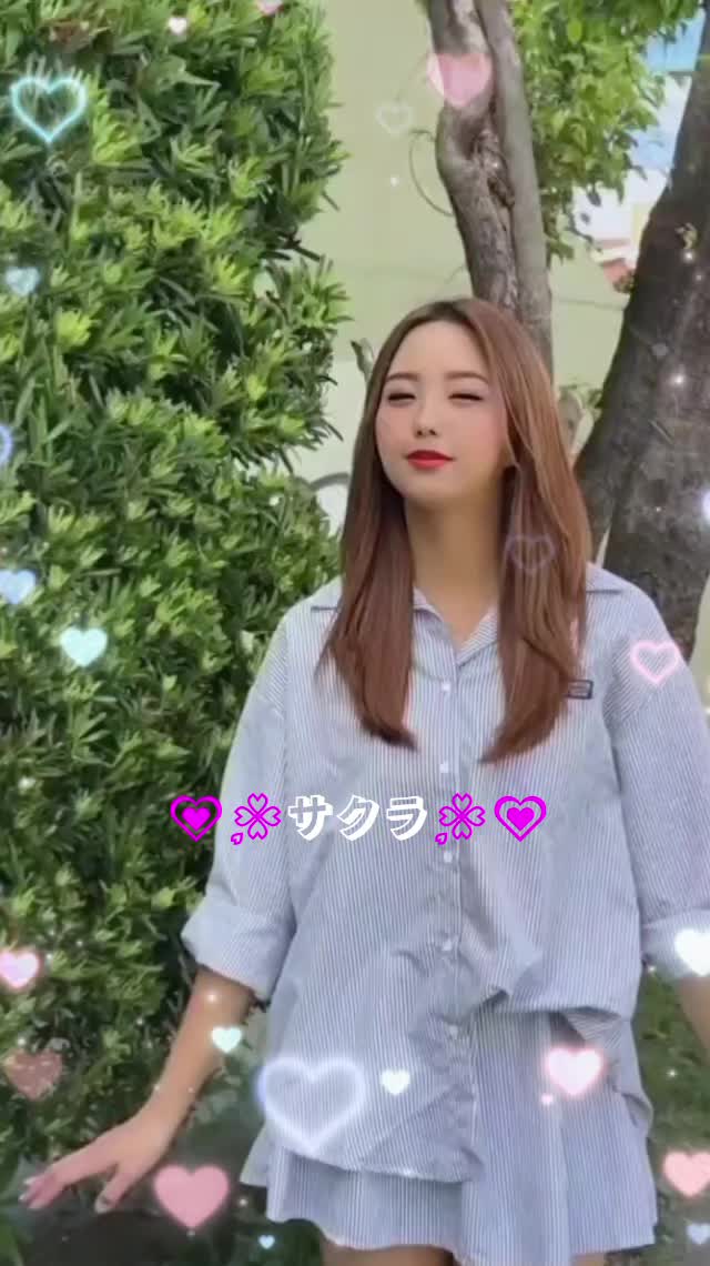 @💗🌸サクラ🌸💗