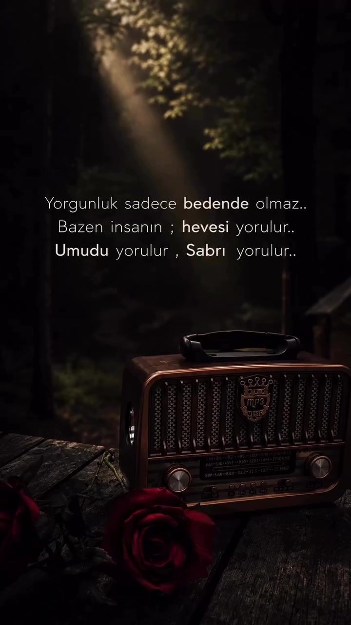 @🐺꧁༒Koca Reis༒꧂🐺