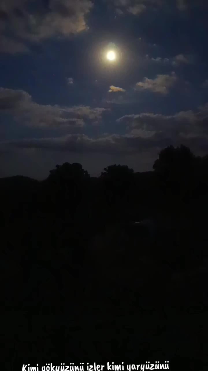 @ɯǝlɐnʞolı