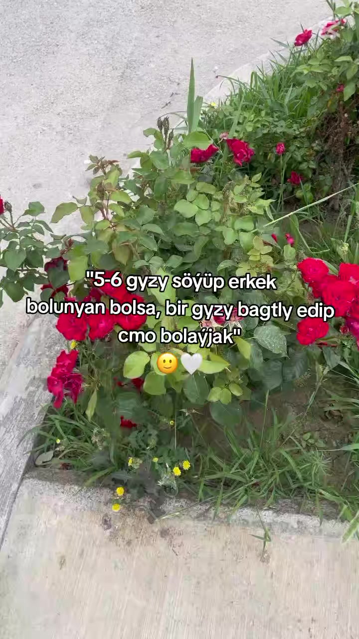 @𝙂𝙖𝙯𝙖𝙠𝙊𝙁𝙁🦈