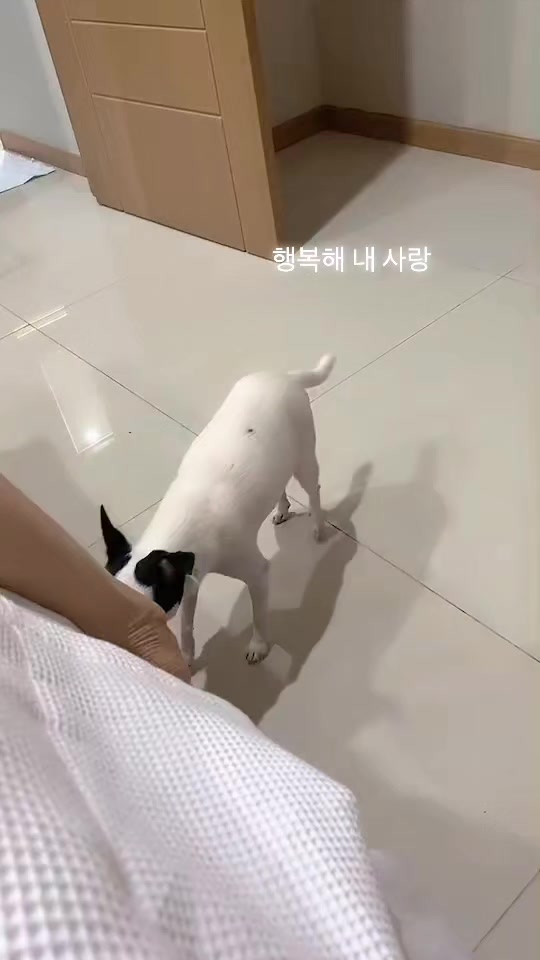 @Kim Bunga 김꽃 & Me