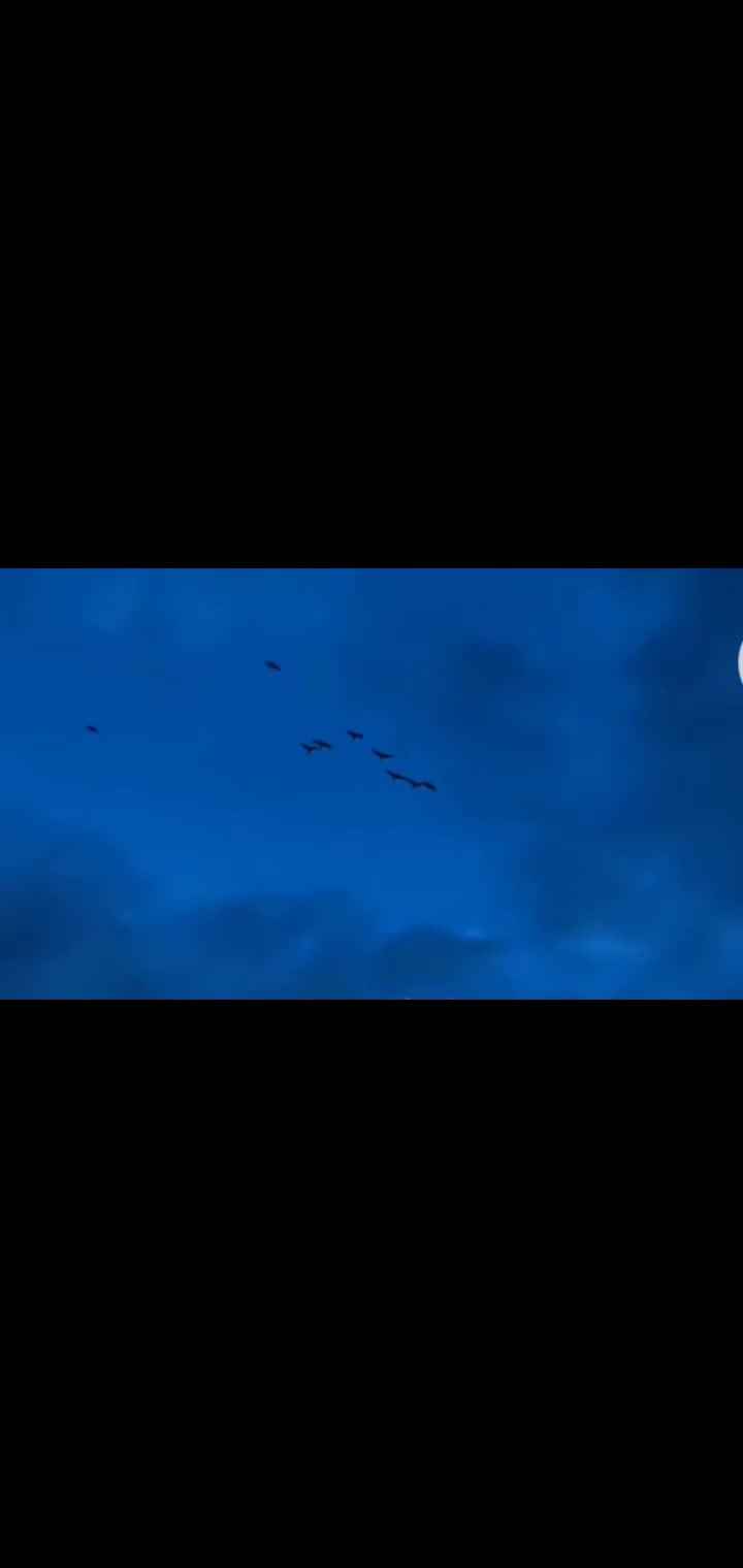 @@#23Jayjay