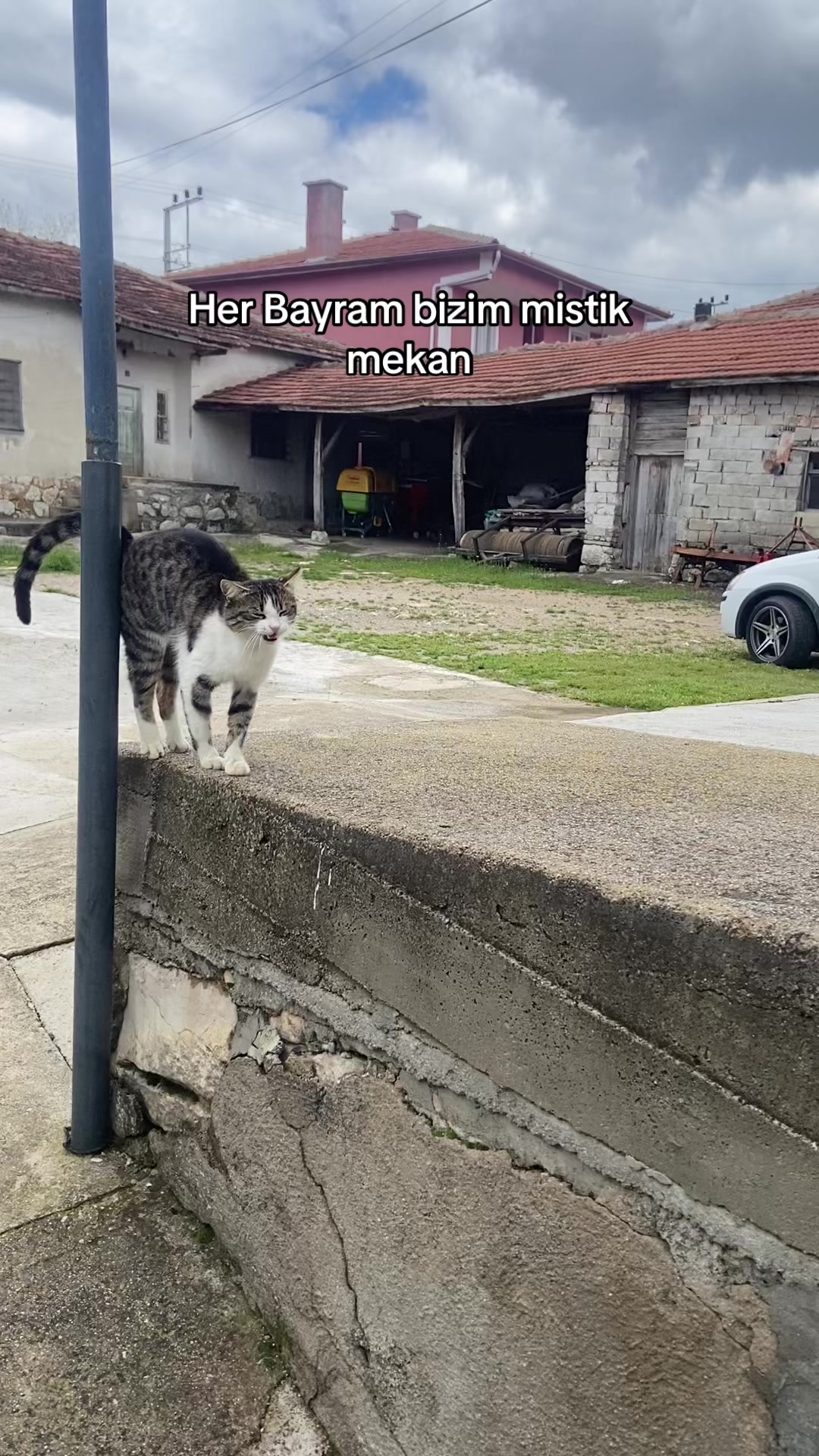 @𝐄𝐑𝐆𝐔̈𝐍