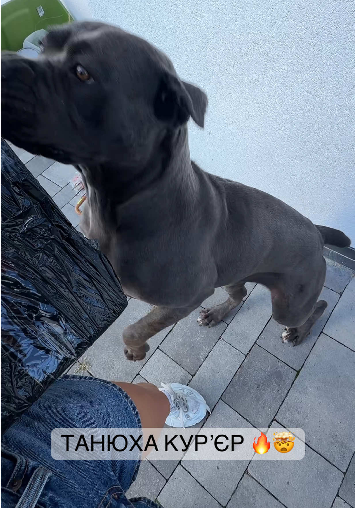 @TANI.CORSA