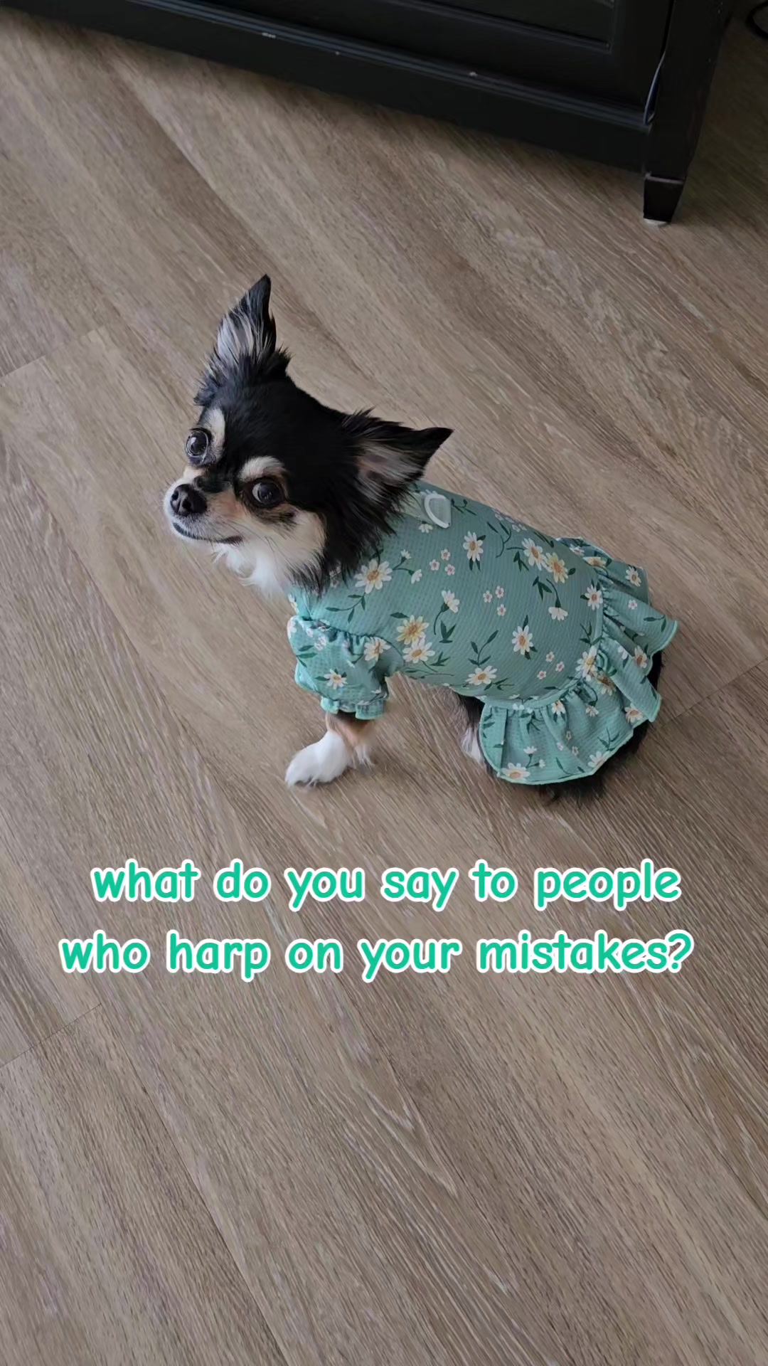 @Pawsha