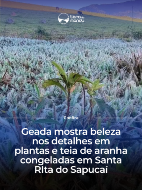 @Terra do Mandu