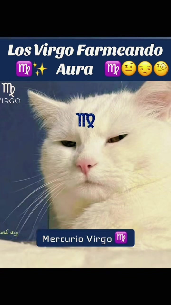 @🩷M E Y K O R 🩵🩷