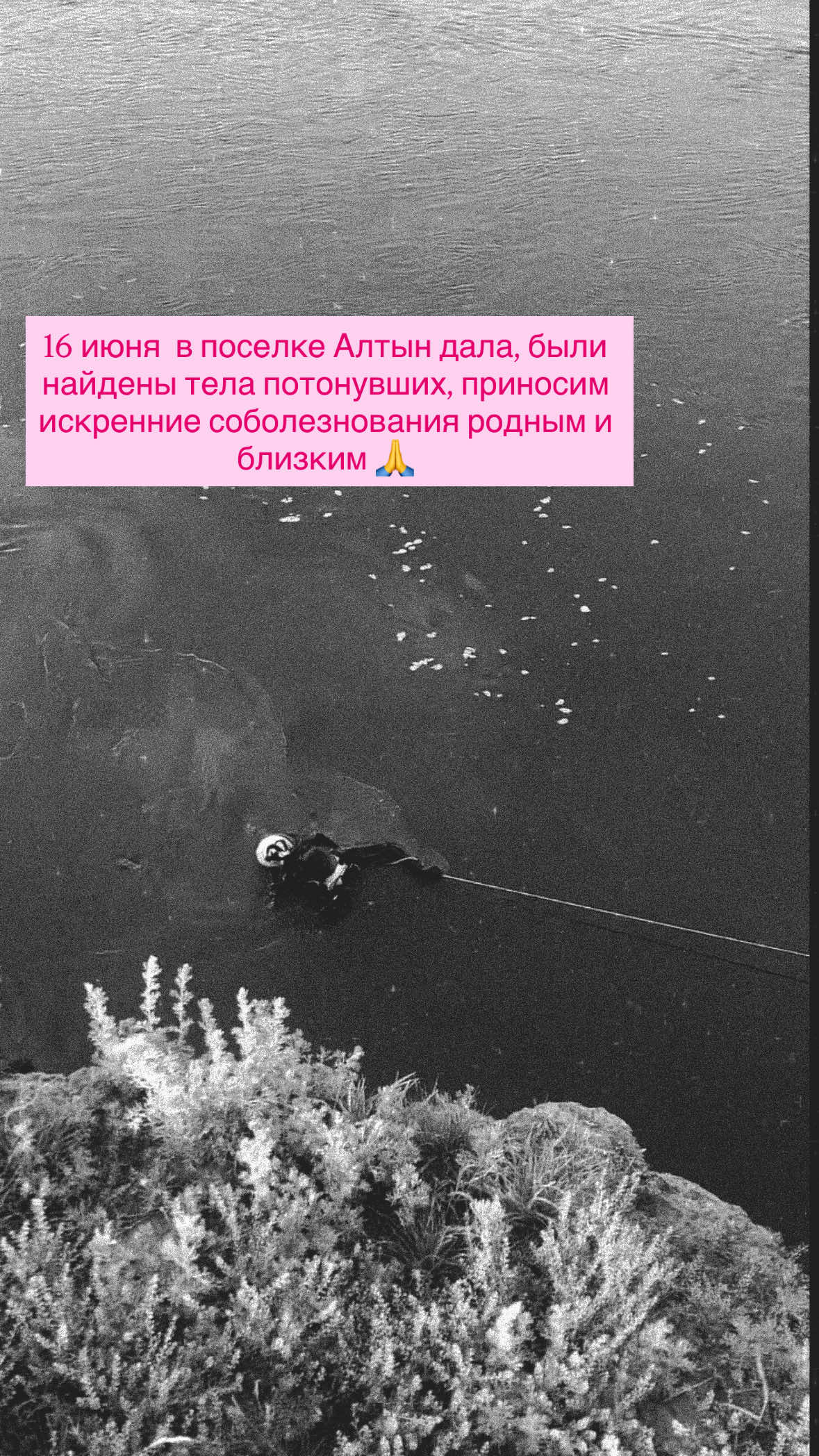 @timurovtsi