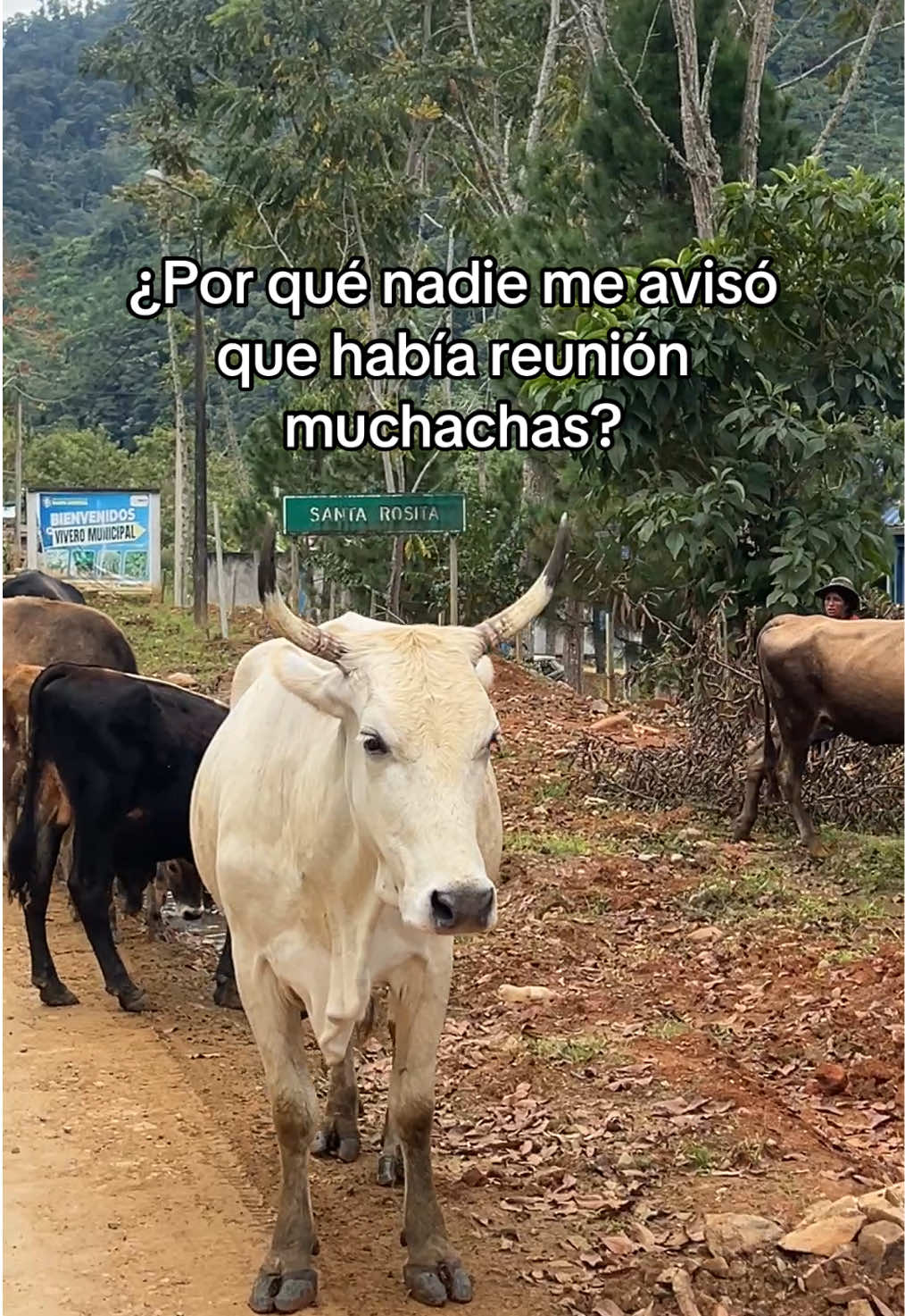 @MaferDioses1