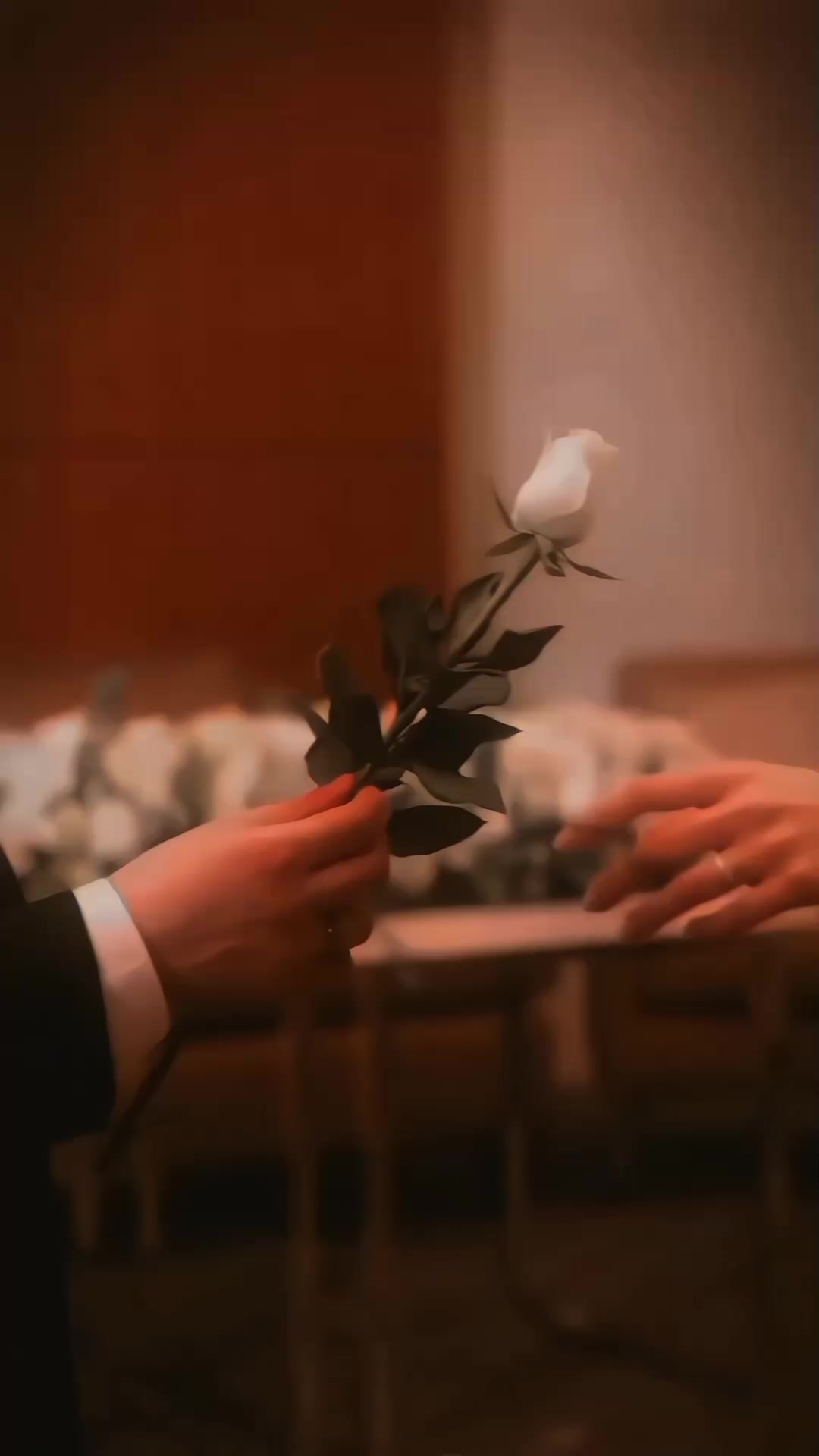 @𝗼𝘄𝗻𝗲𝗿 ᭄𝗔𝗿𝘀𝗹𝗮𝗻 𓆩♡𓆪
