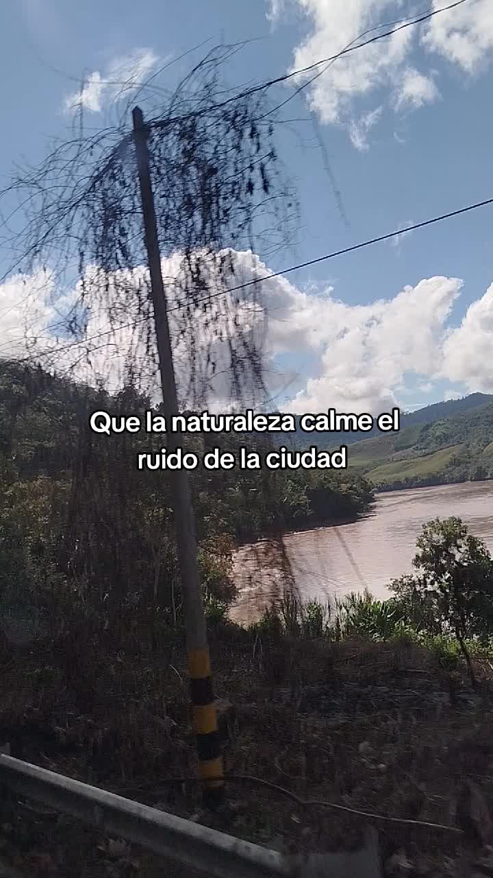 @Gatita 🦋