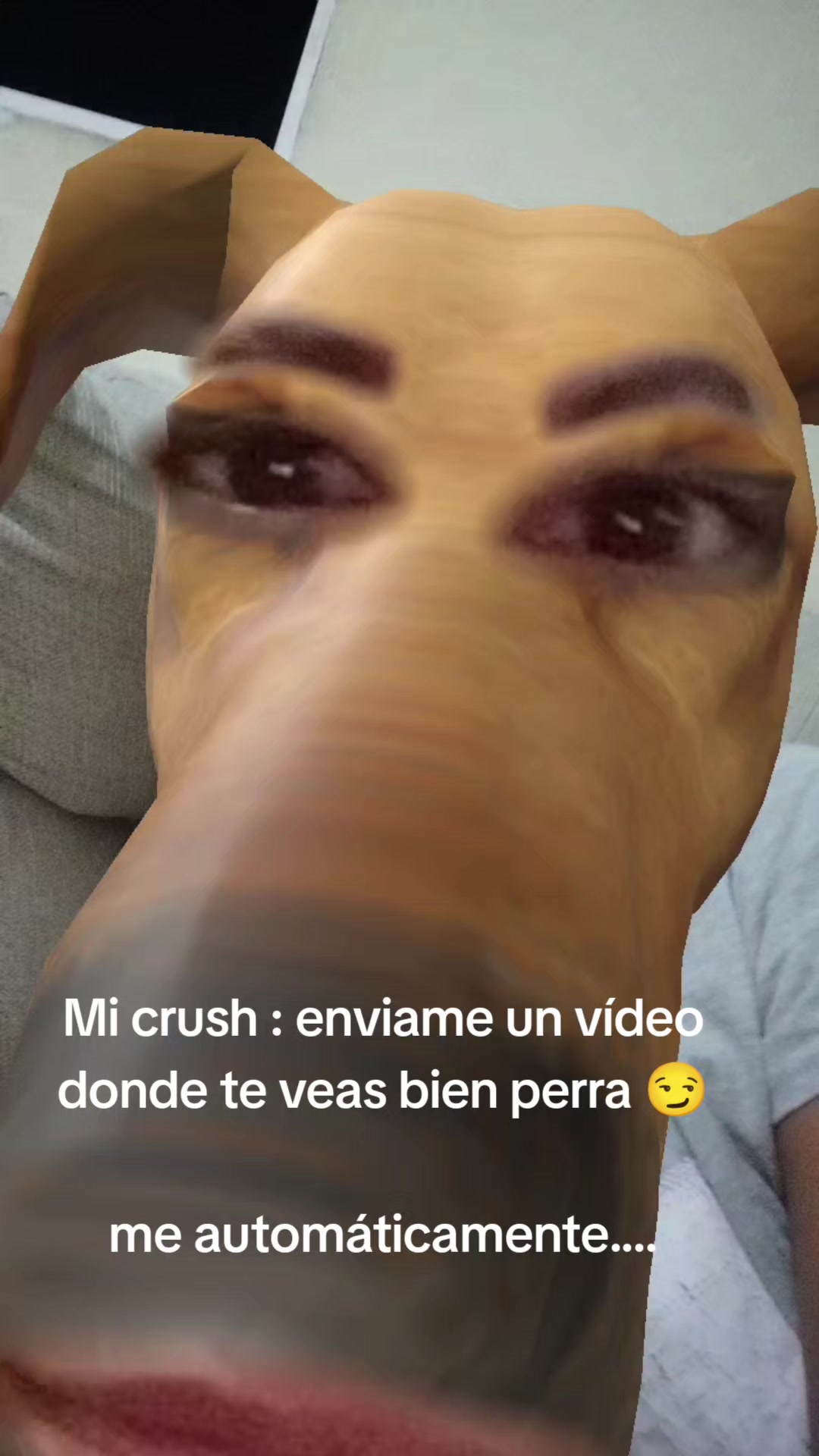@YuLoVe๐