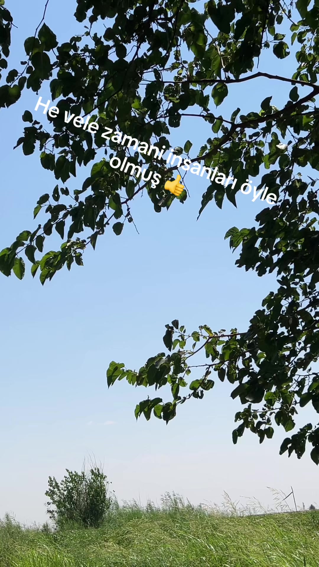 @mahir.63kevser