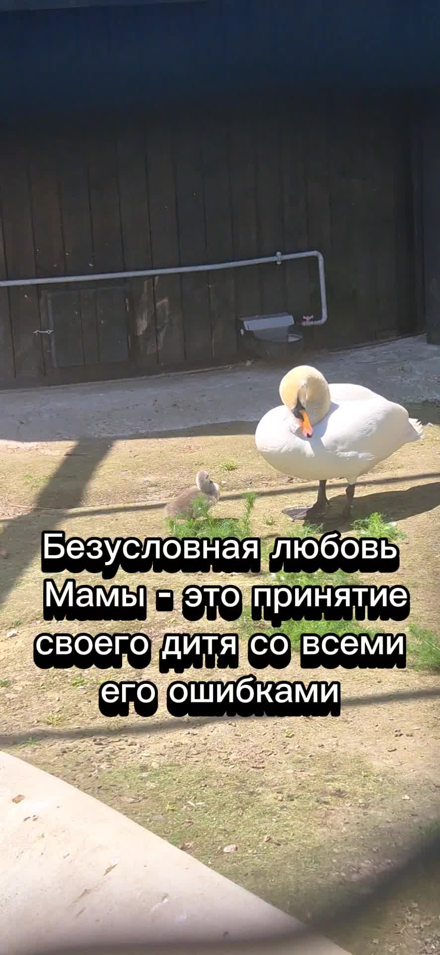@KarinaAsh7777