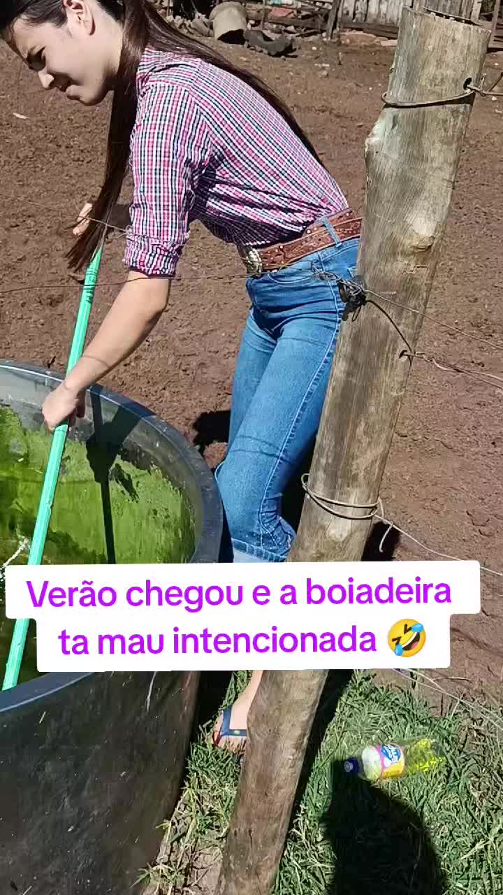@Alexandre Basilio