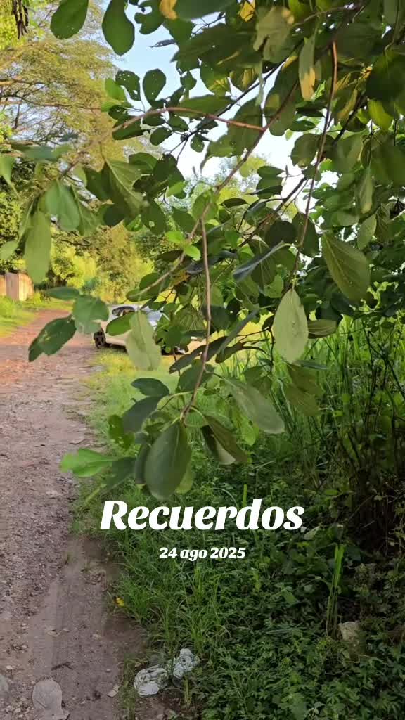 @El Chamba SV