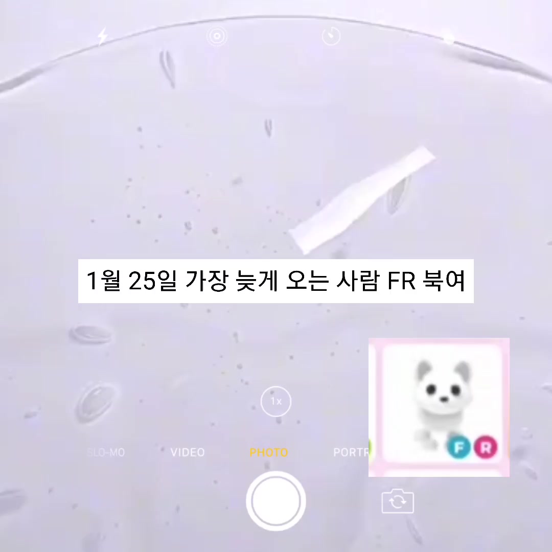 @꼬치