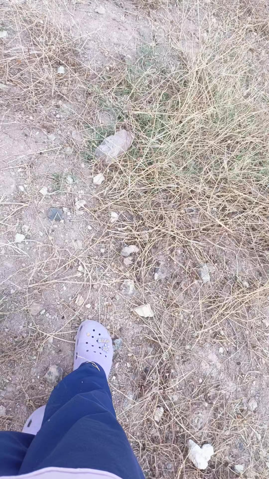 @Zeyno günn