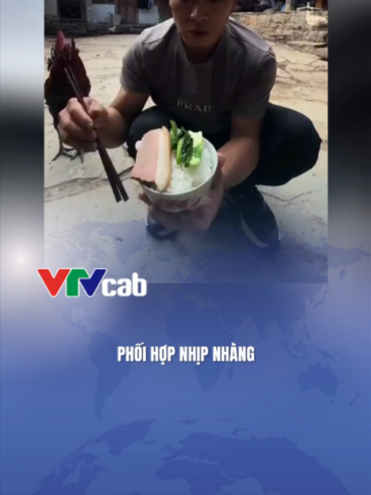 @VTVcab Trending - Giải trí