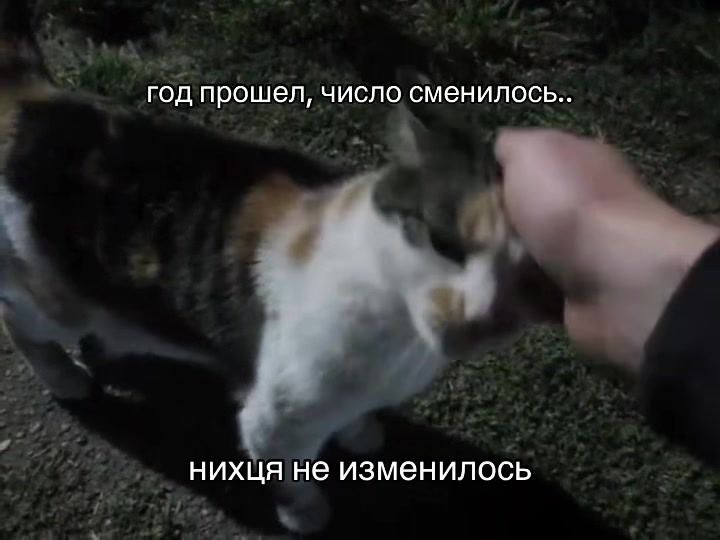 @шепот аски ленгли