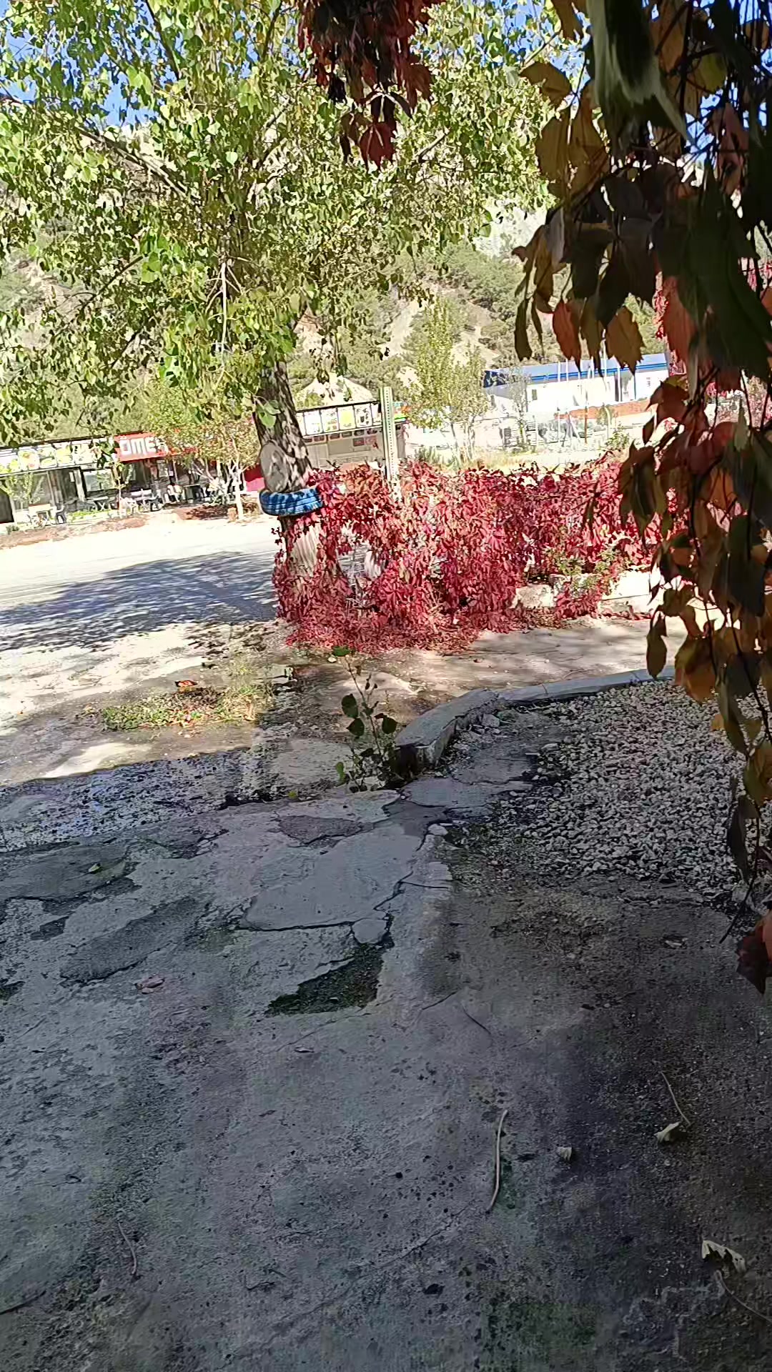 @Erdin&ccedil; 44