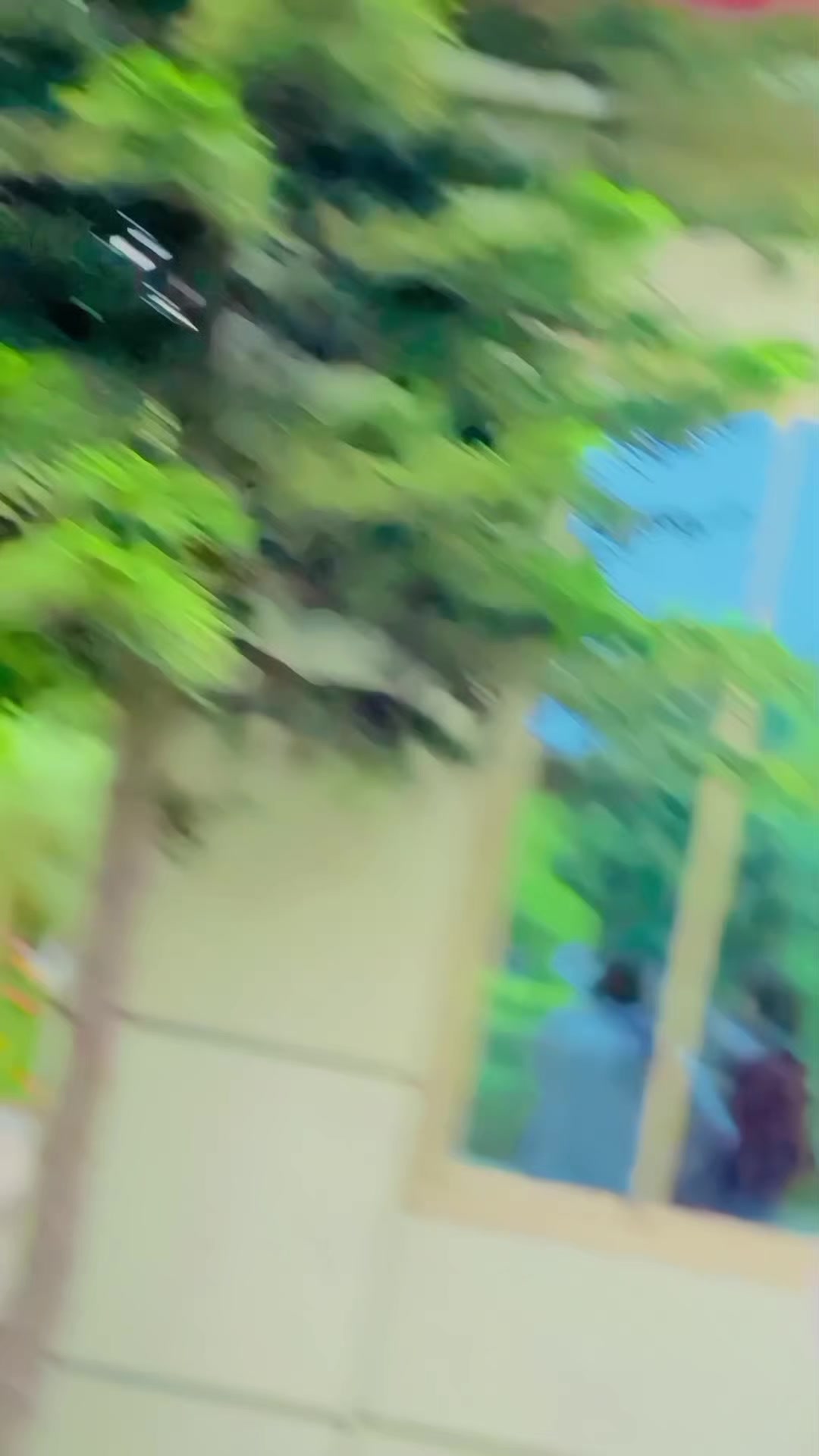 @𓊈🄹🄰🄽🄸🍁🄱🄷🄰🄸𓊉
