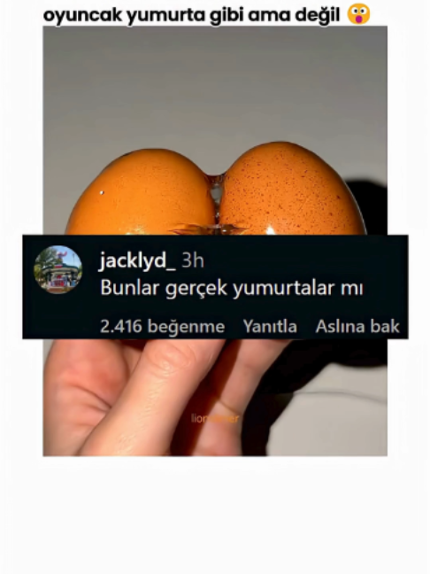 @Yok Artık