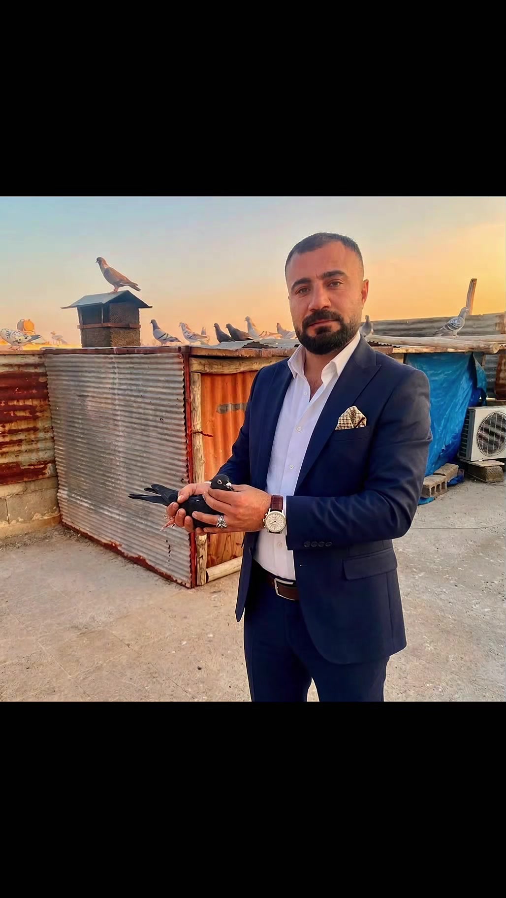 @🕊️Elvancı Celal 🕊️