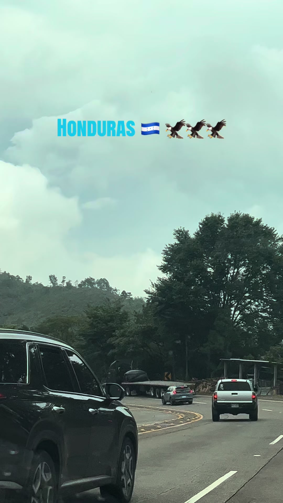@Halcon de la sierra