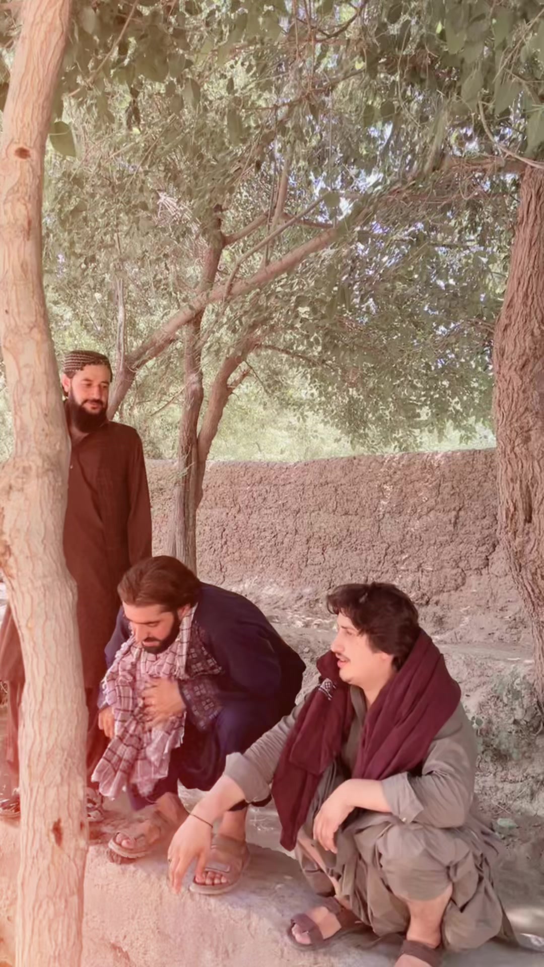 @👑احمد ضیاء وزیری🥀