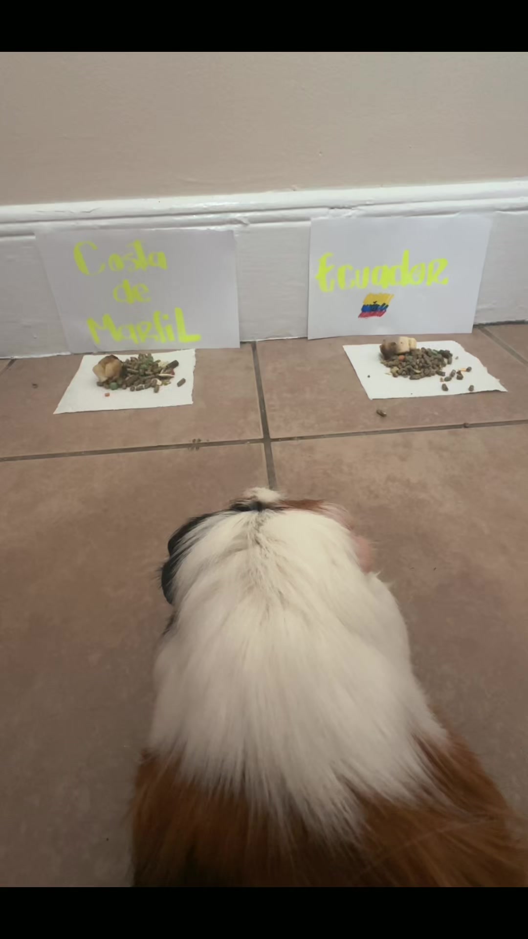 @️
