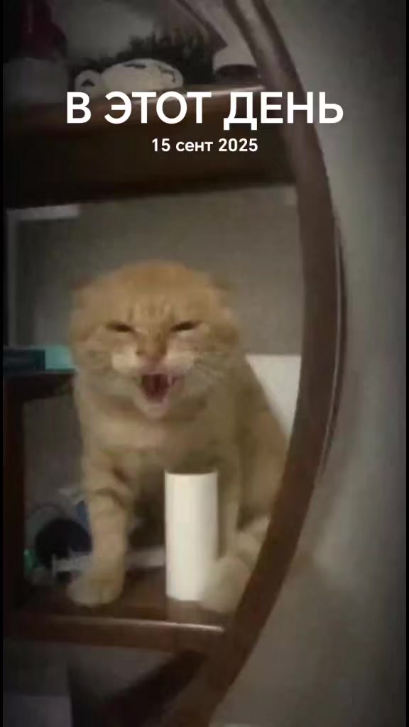 @окей гугл
