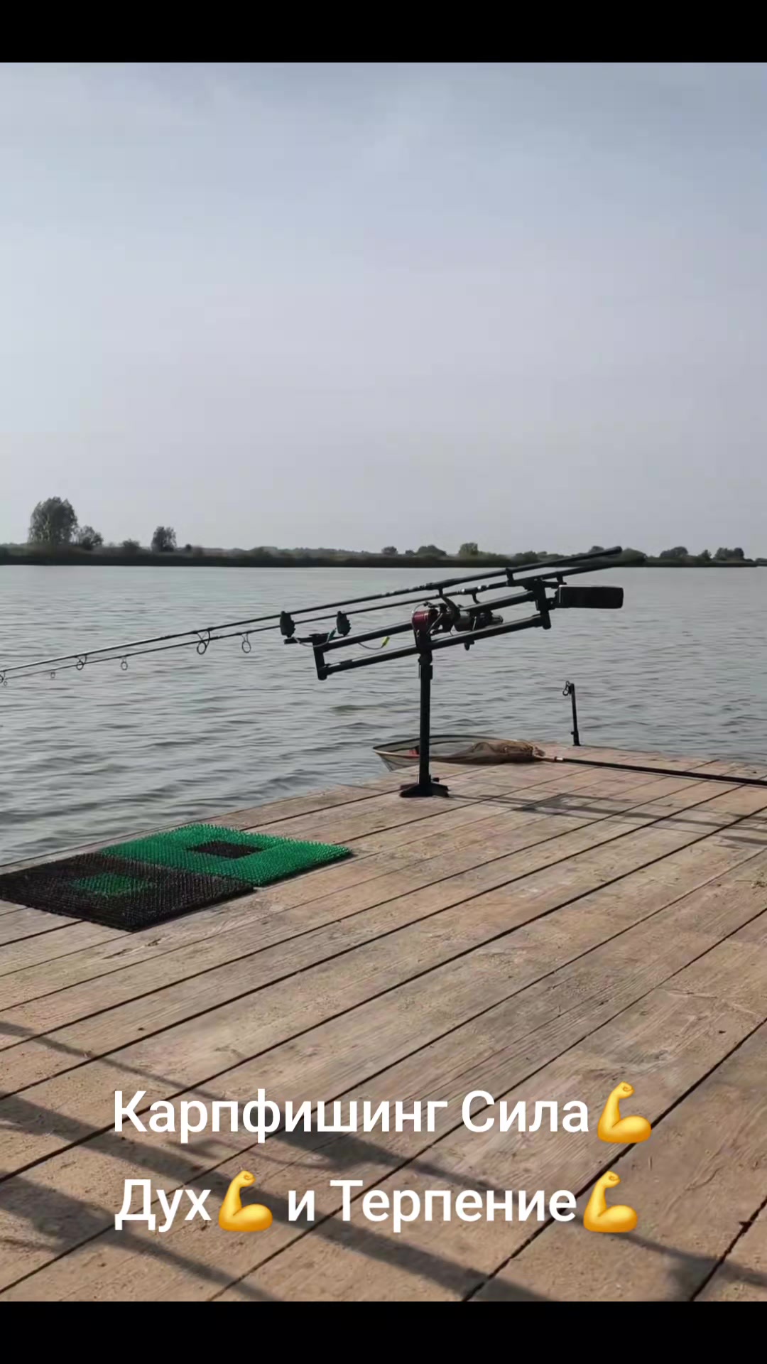 @Дикий карп рулит💪😎💪