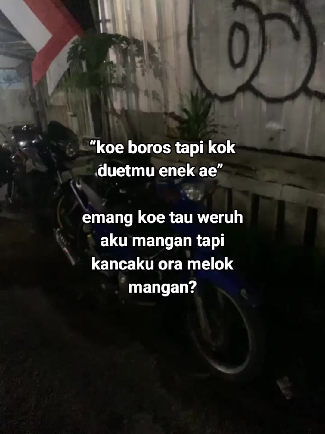 @plnttlio🍻🚀