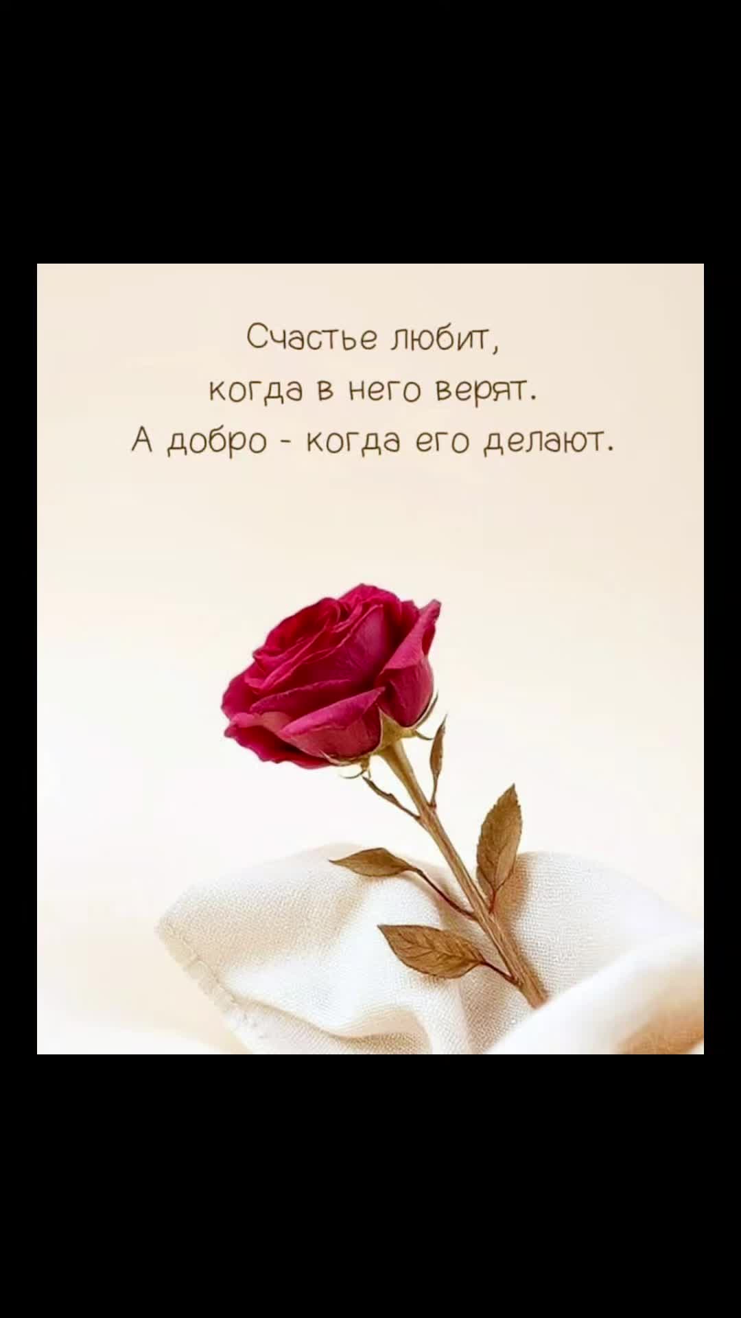 @🥀─═ڿڰۣڿ☻ڿڰۣ─🦋═ڿڰۣڿ☻ڿڰۣڿ═─ 🥀