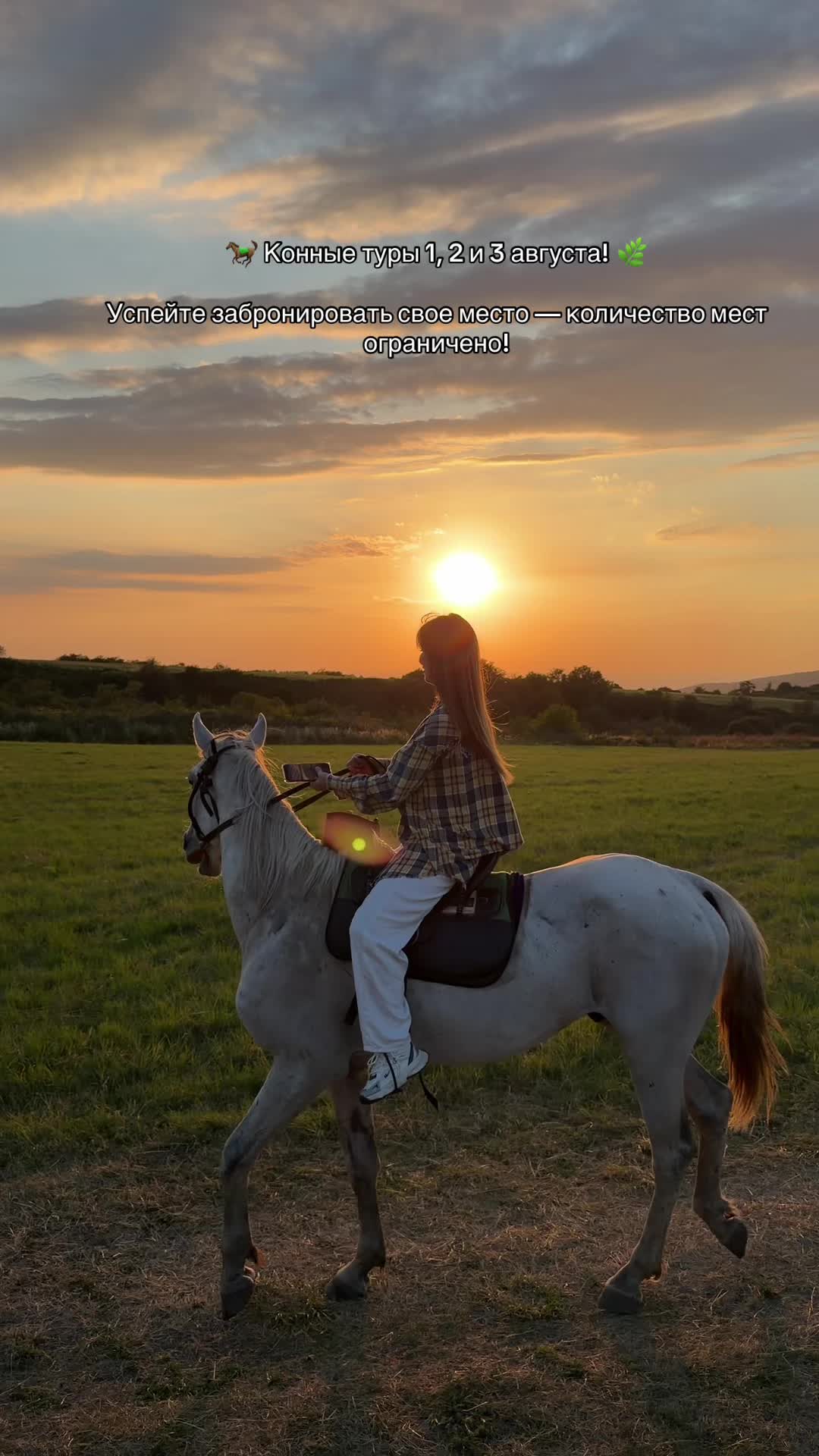 @tulpar_horses