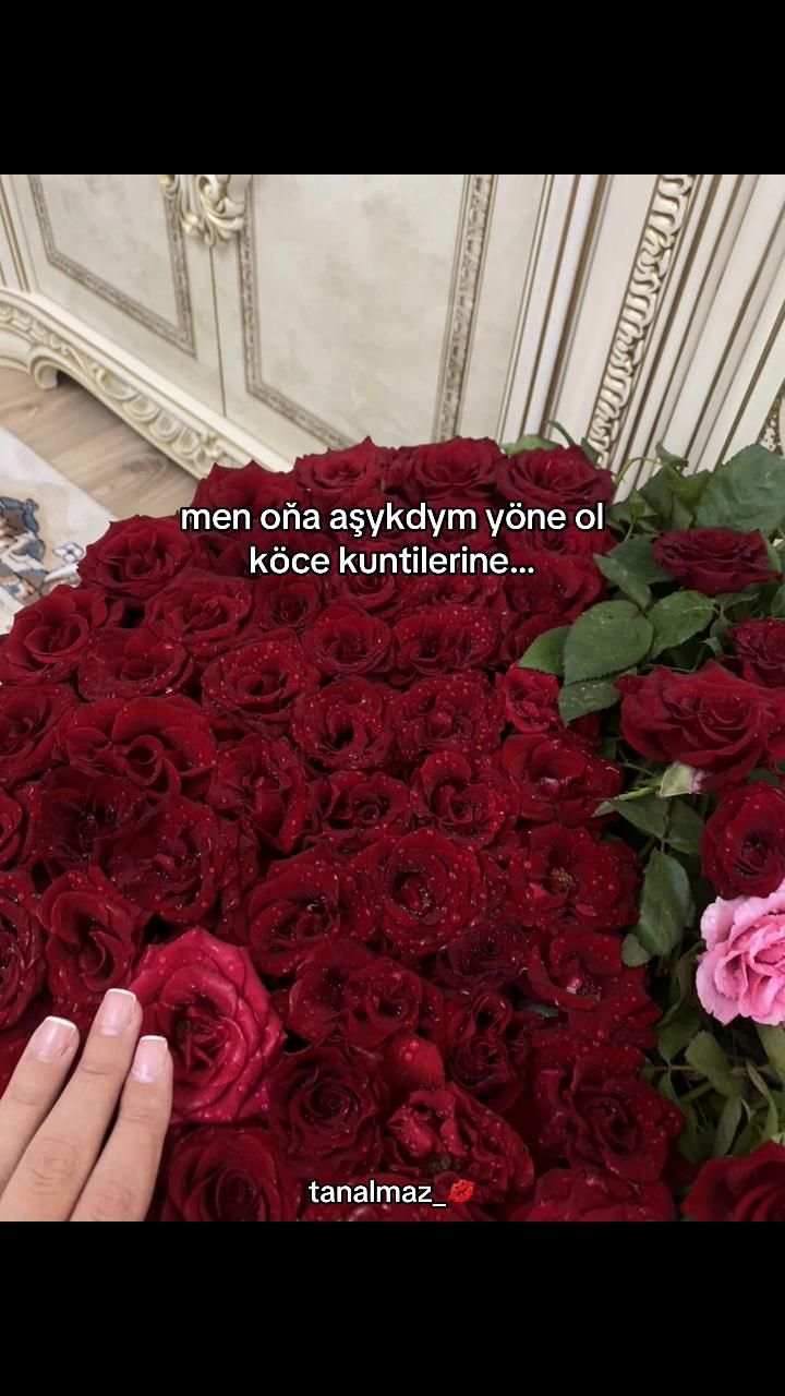 @tanalmaz_💋